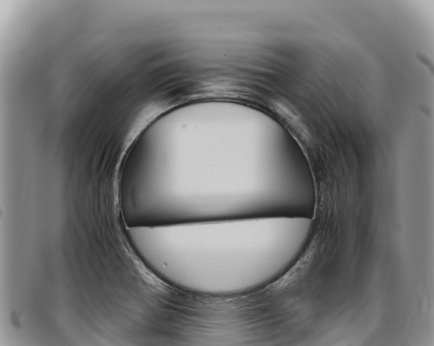 X0000097301370200802151112