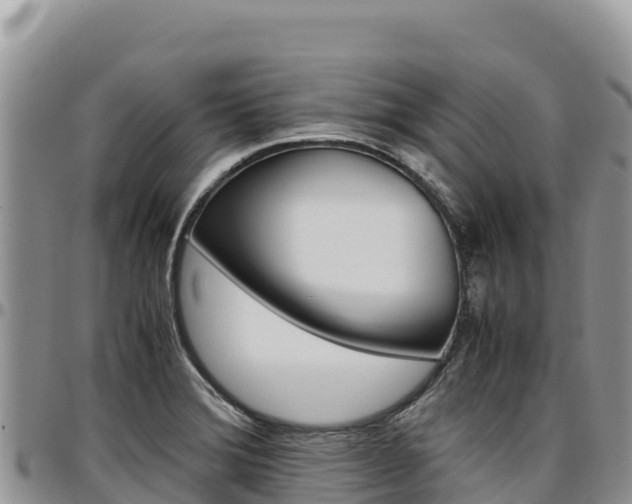 X0000097301372200802151112