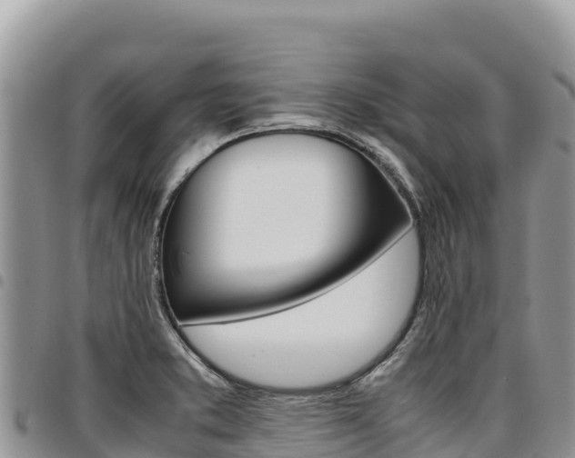 X0000097301373200802151112