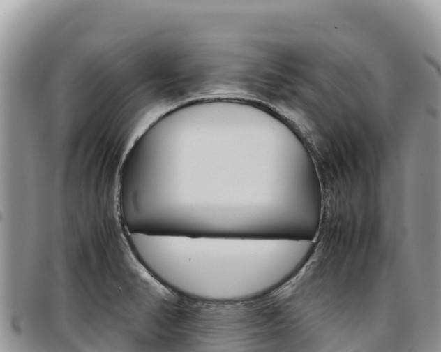 X0000097301374200802151112