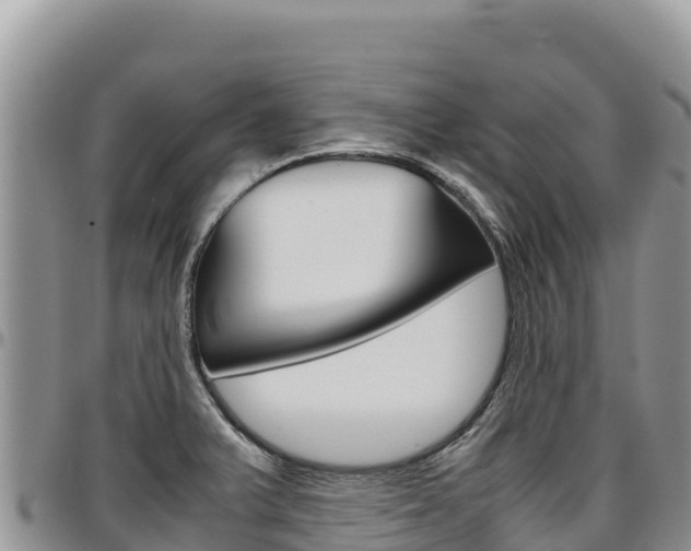 X0000097301375200802151112