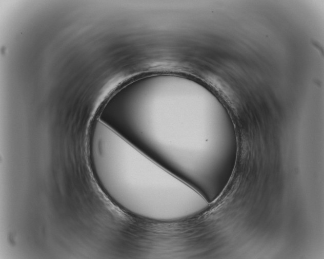 X0000097301376200802151112