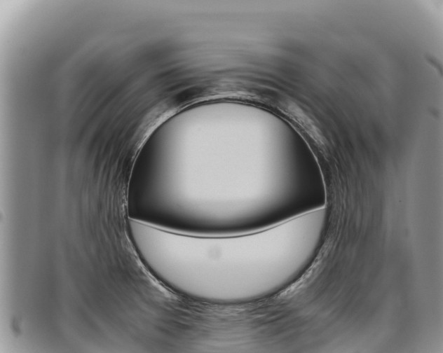 X0000097301377200802151112
