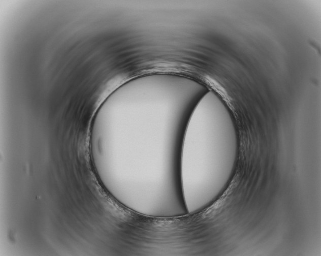 X0000097301378200802151112