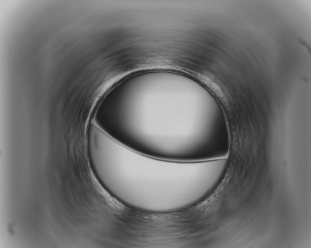 X0000097301380200802151112