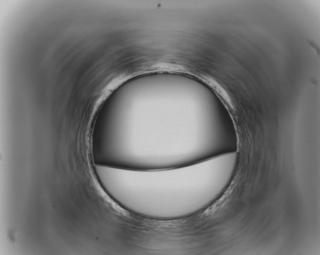 X0000097301381200802151112
