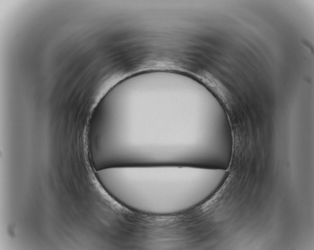 X0000097301382200802151112