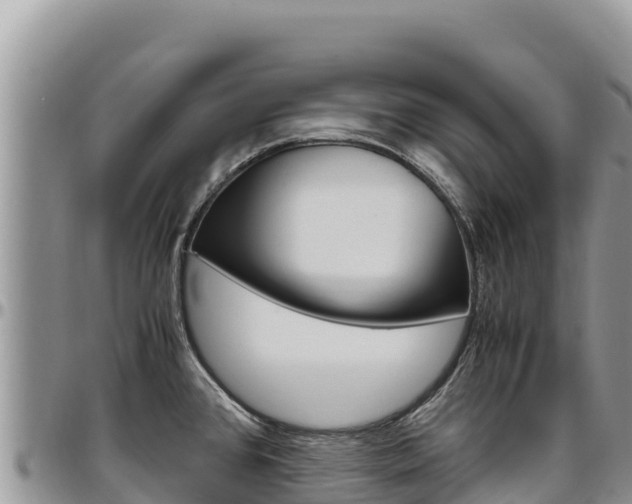 X0000097301384200802151112