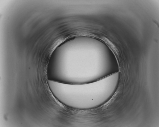 X0000097301385200802151112