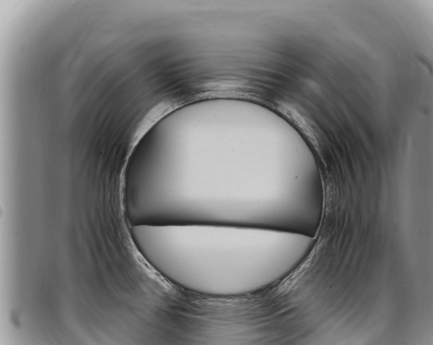 X0000097301386200802151112