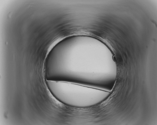 X0000097301387200802151112