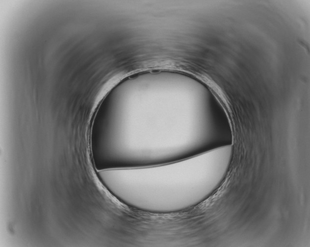 X0000097301389200802151112