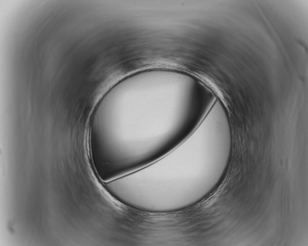 X0000097301391200802151112