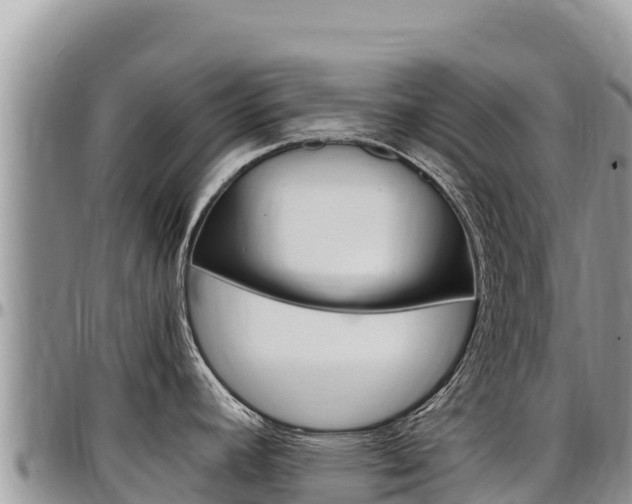 X0000097301392200802151112