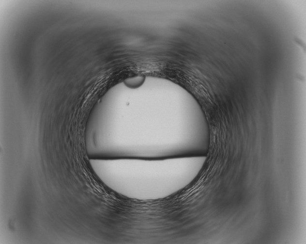 X0000097301393200802151111