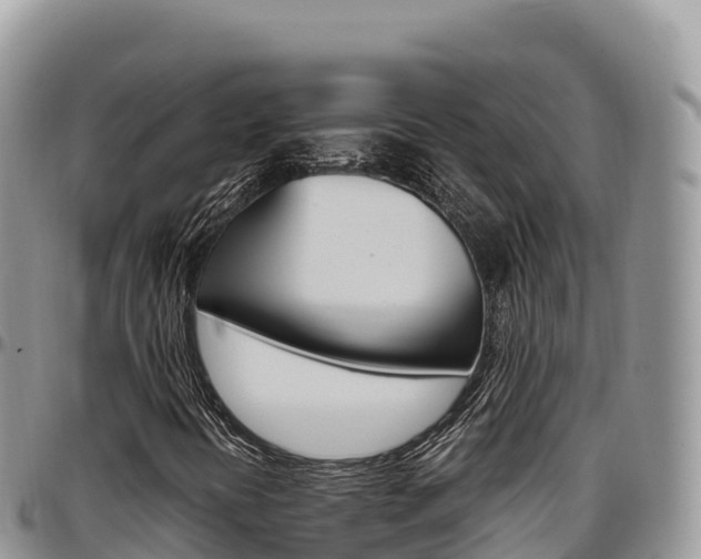 X0000097301394200802151111