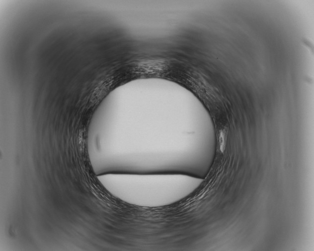 X0000097301395200802151111