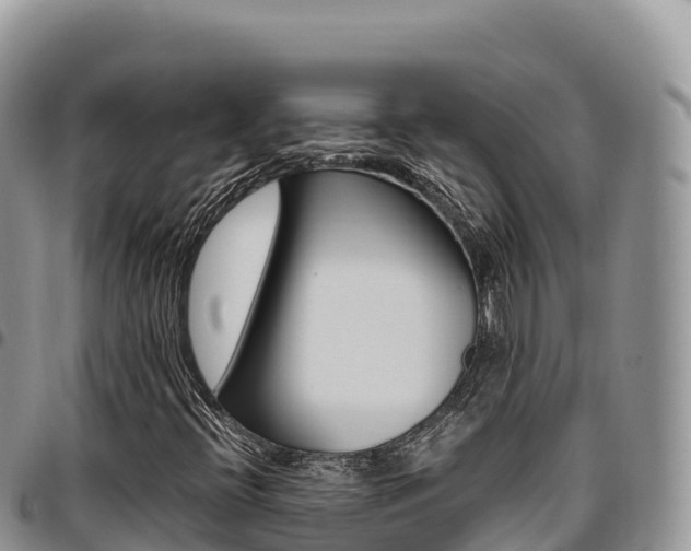 X0000097301396200802151111
