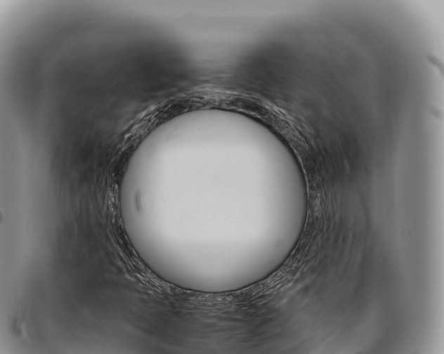 X0000097301397200802151111