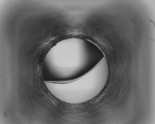 X0000097301398200802151111