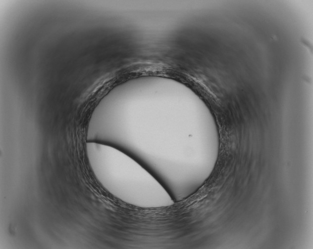 X0000097301399200802151111