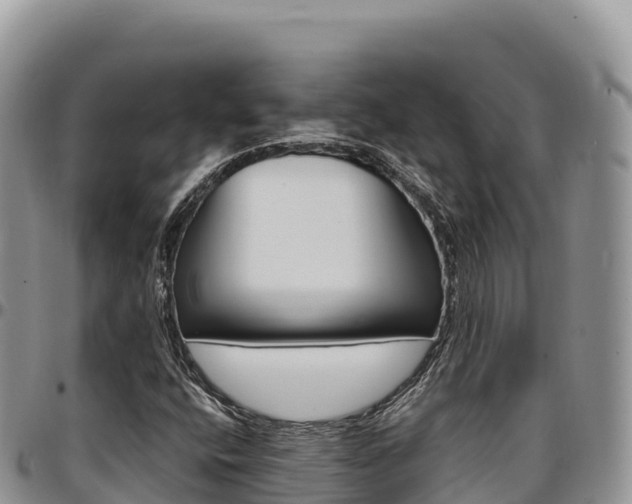 X0000097301400200802151111