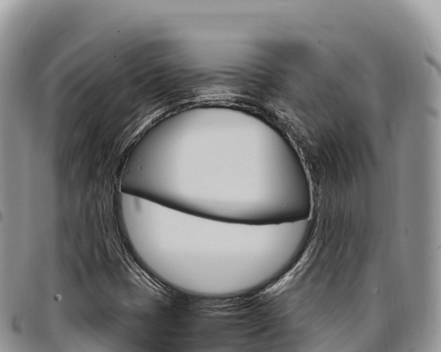 X0000097301401200802151111