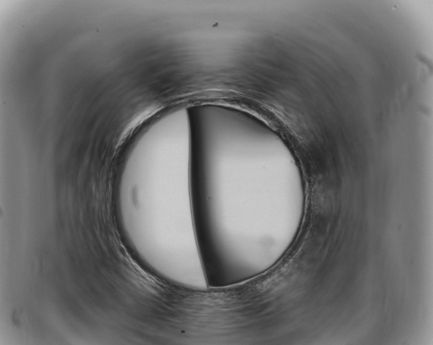 X0000097301402200802151111