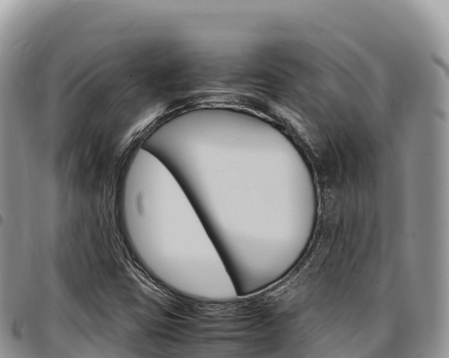 X0000097301403200802151111