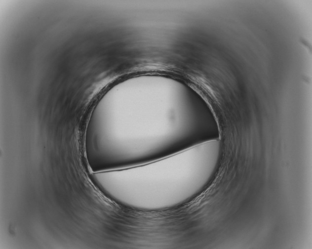 X0000097301404200802151111