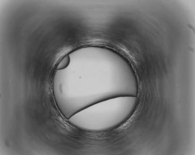 X0000097301405200802151111