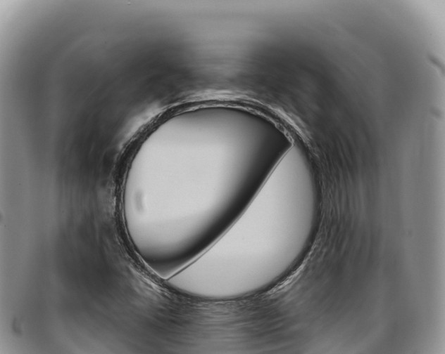 X0000097301406200802151111