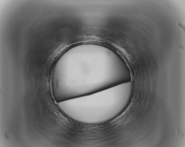 X0000097301407200802151111