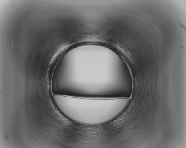 X0000097301408200802151111