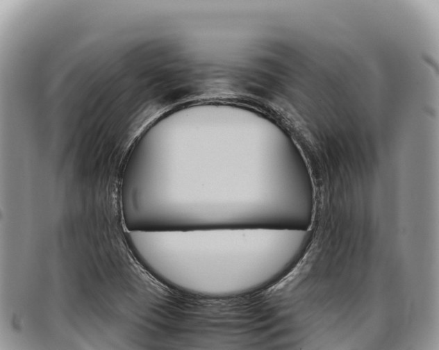 X0000097301409200802151111