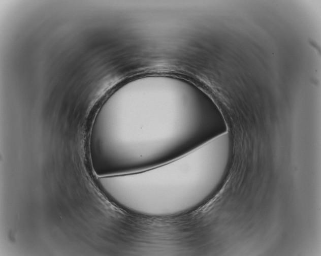 X0000097301410200802151111