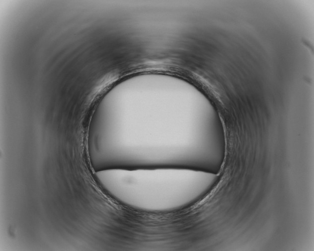 X0000097301411200802151111