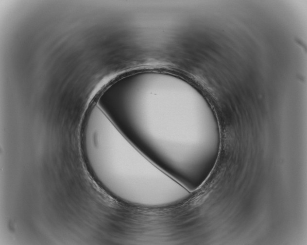 X0000097301412200802151111