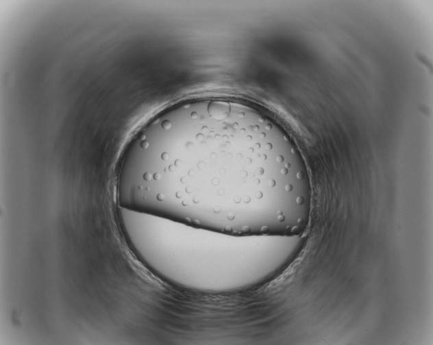 X0000097301413200802151111