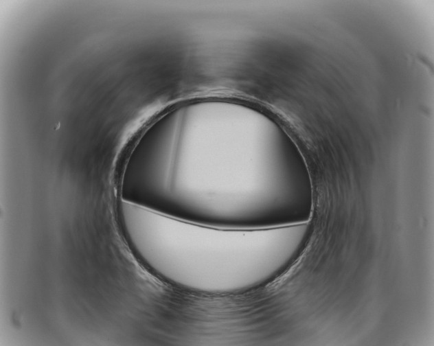 X0000097301414200802151111