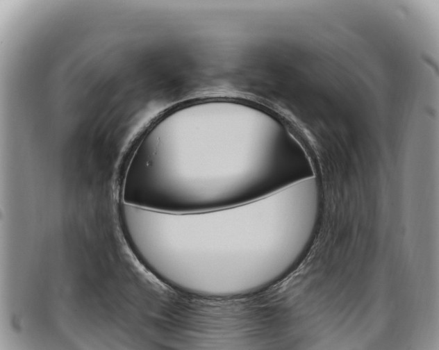 X0000097301416200802151111