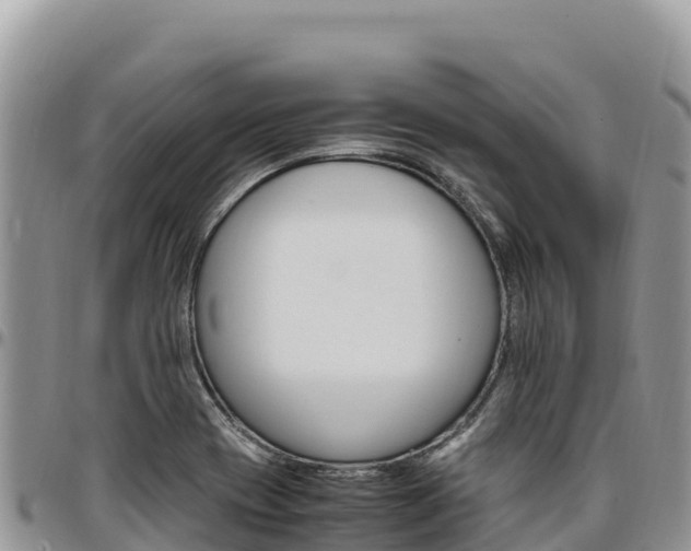 X0000097301417200802151111