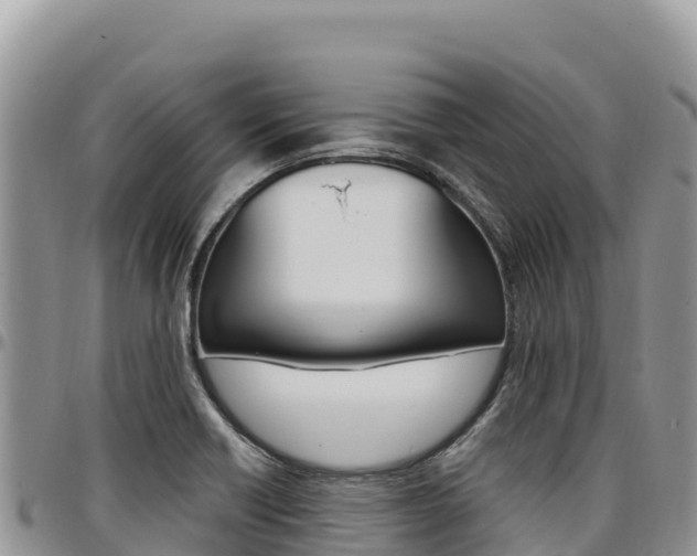 X0000097301418200802151111