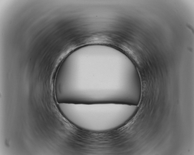 X0000097301419200802151111