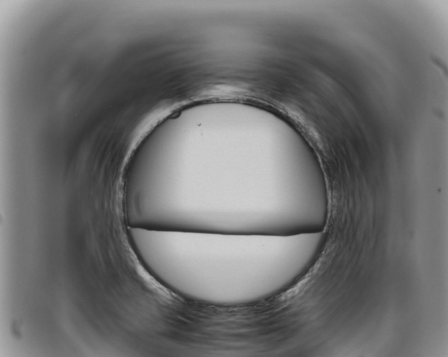 X0000097301421200802151111