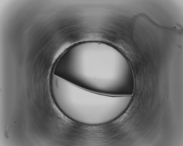 X0000097301422200802151111