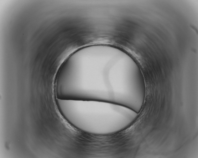 X0000097301423200802151111