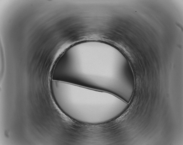 X0000097301424200802151111