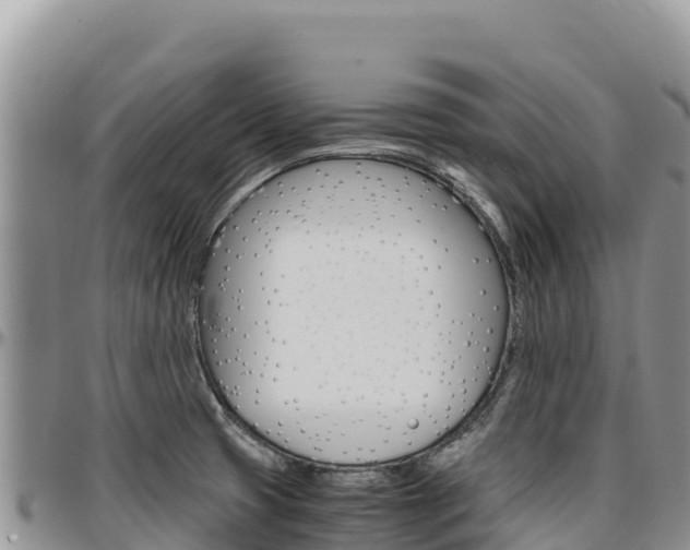 X0000097301425200802151112