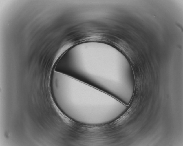 X0000097301426200802151112